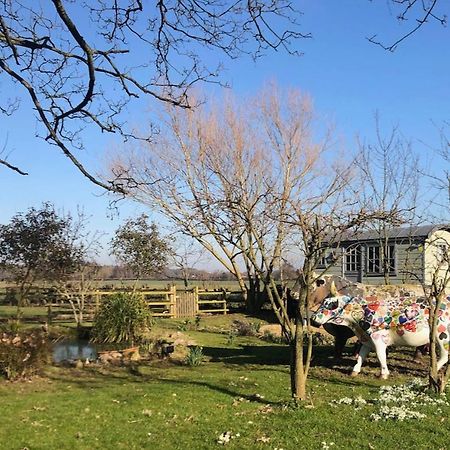 The Shepherd'S Hut @ Chichester Cottage Exterior photo