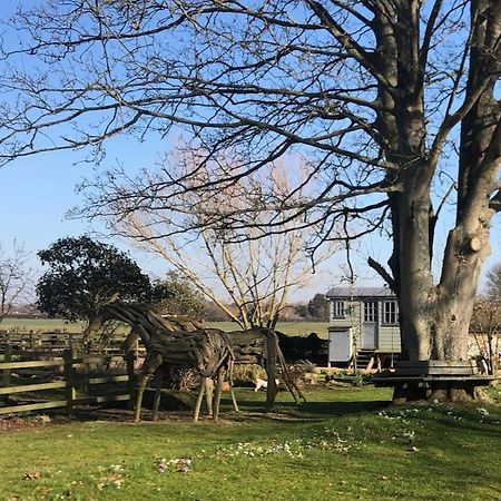 The Shepherd'S Hut @ Chichester Cottage Exterior photo